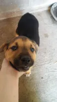 bela/luma/spik/nilo/