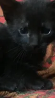 Mimi
