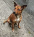 Bella