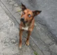 Bella