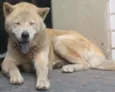 billy