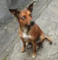 Bella