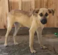 Lucy