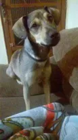 Teco