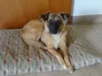 Menina