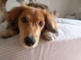 Marley