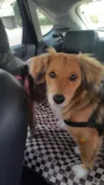 Marley