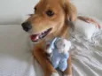 Marley