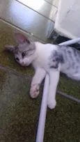 Mel