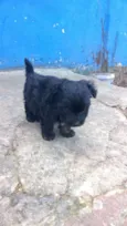 bidu