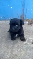 bidu