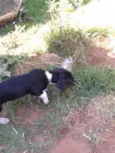 Zeus