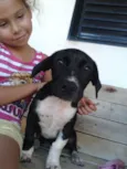 Zeus