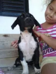 Zeus