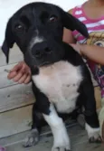 Zeus