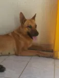 Lilica