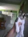 Ritinha