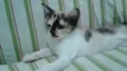 Ritinha