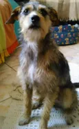 jeniffer