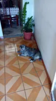 REBECA