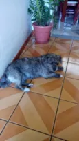 REBECA