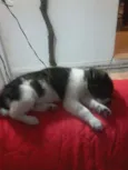 Jessy