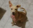 Maggie