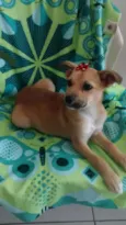 NUTELA