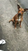 Bella