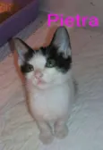 Pietra