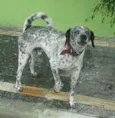 não sei