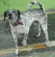não sei