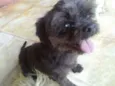 REX
