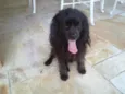 TINA