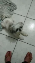 Não sei