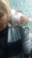 Milu