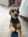 Dalila