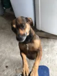 Dalila