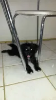 BELINHA