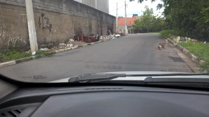 Cachorro ra a nao sei idade Abaixo de 2 meses nome nao sei