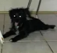 BELINHA