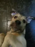 Penelope