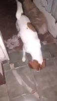 Meg