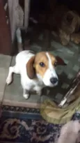Meg