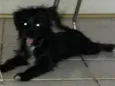 BELINHA