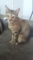 Mel