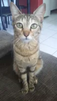 Mel