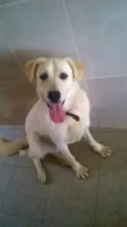 Tobby