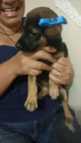 Lindinha