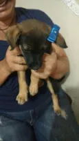 Lindinha